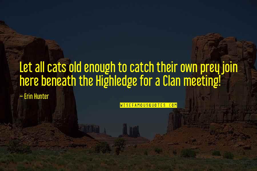Highledge Quotes By Erin Hunter: Let all cats old enough to catch their