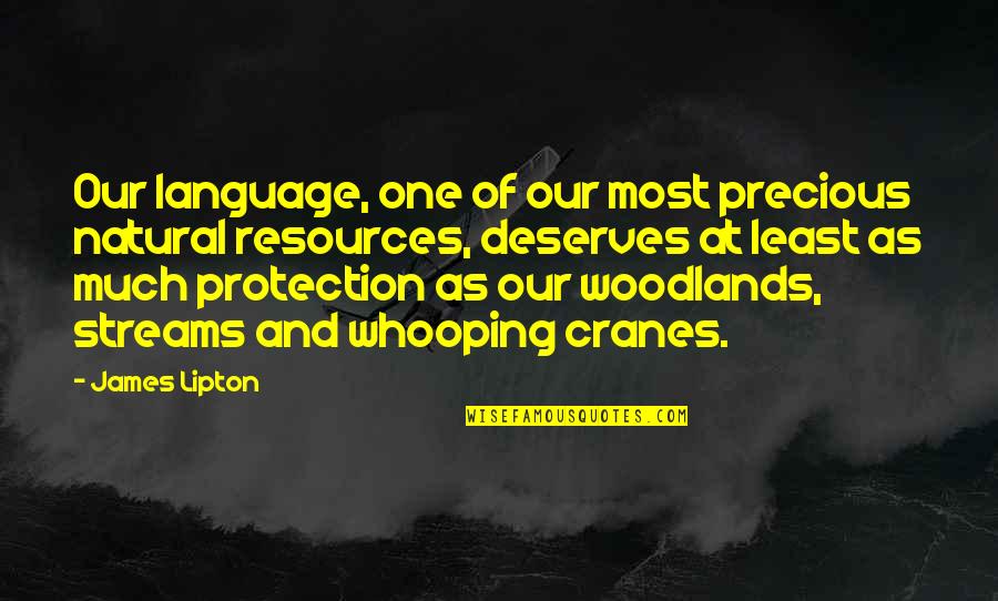 Highly Powerful Quotes By James Lipton: Our language, one of our most precious natural