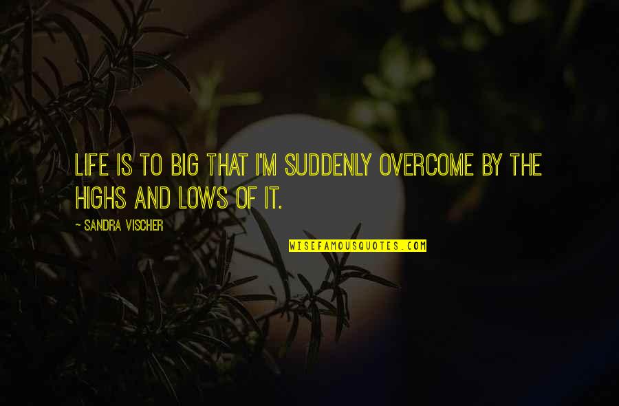 Highs Quotes By Sandra Vischer: Life is to BIG that I'm suddenly overcome