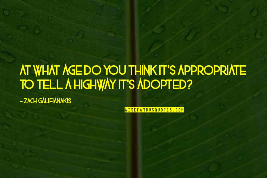 Highway Quotes By Zach Galifianakis: At what age do you think it's appropriate