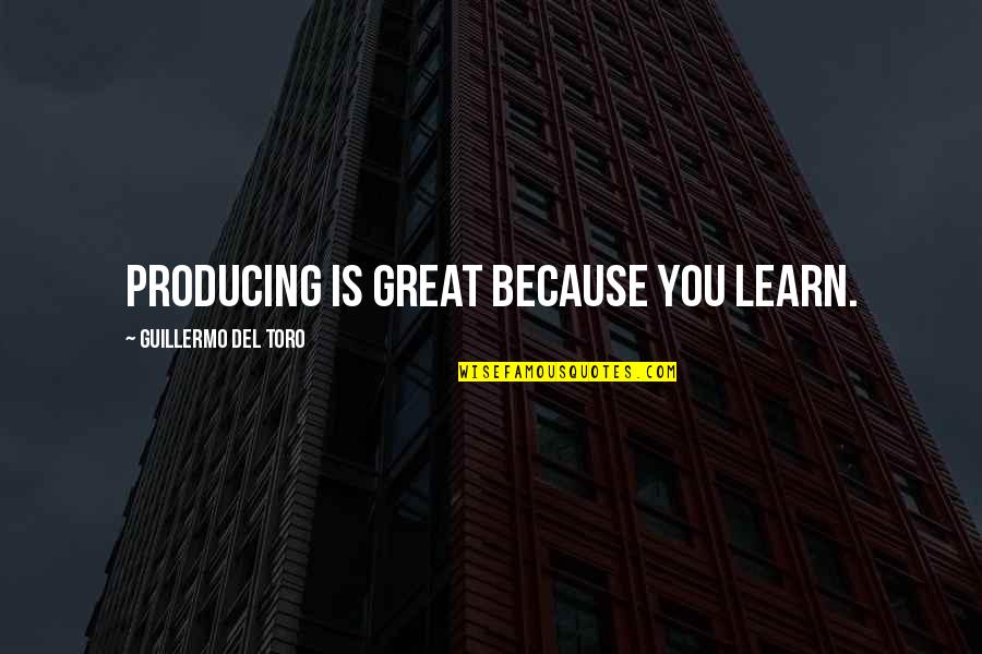 Hijiki Quotes By Guillermo Del Toro: Producing is great because you learn.