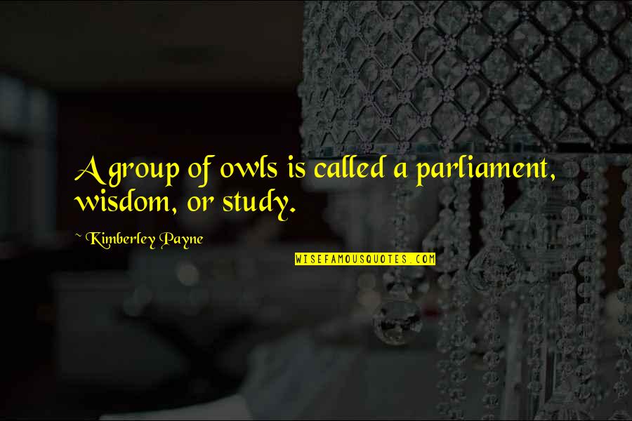 Hike Messenger Status Quotes By Kimberley Payne: A group of owls is called a parliament,