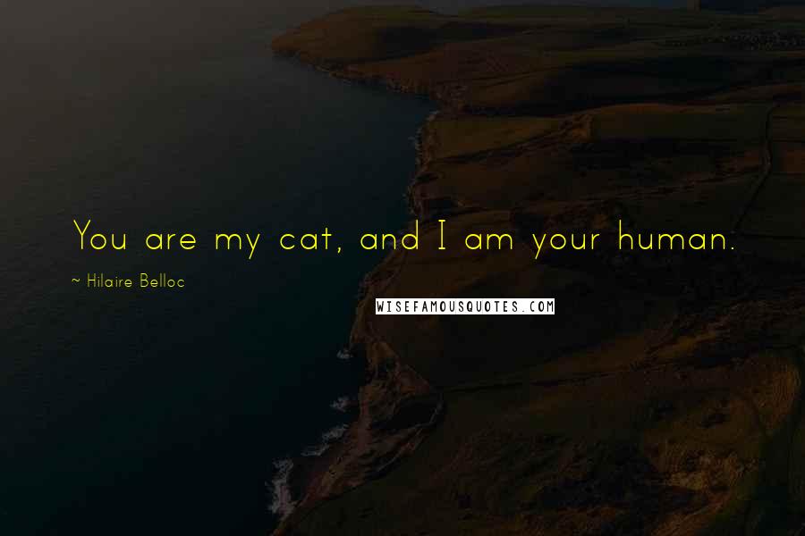 Hilaire Belloc quotes: You are my cat, and I am your human.