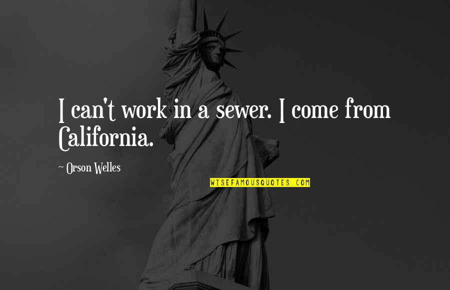 Hilarious Being Clumsy Quotes By Orson Welles: I can't work in a sewer. I come