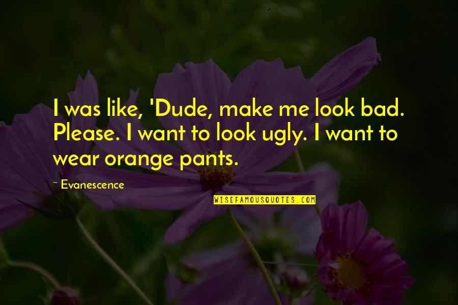 Hilarious Me Quotes By Evanescence: I was like, 'Dude, make me look bad.
