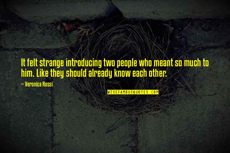 Hilarious Newfie Quotes By Veronica Rossi: It felt strange introducing two people who meant Hilarious Newfie Quotes By Veronica Rossi: It felt strange introducing two people who meant