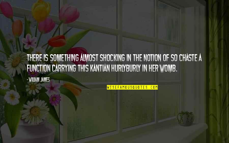 Hilarity Quotes By William James: There is something almost shocking in the notion