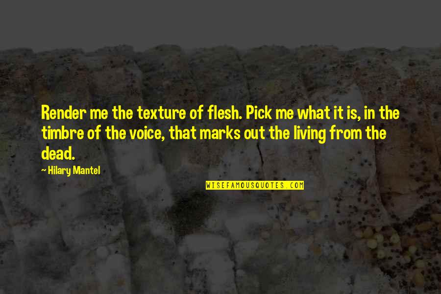 Hilary Mantel Quotes By Hilary Mantel: Render me the texture of flesh. Pick me