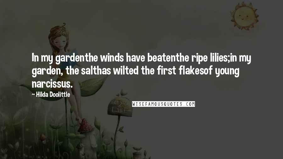 Hilda Doolittle quotes: In my gardenthe winds have beatenthe ripe lilies;in my garden, the salthas wilted the first flakesof young narcissus. Hilda Doolittle quotes: In my gardenthe winds have beatenthe ripe lilies;in my garden, the salthas wilted the first flakesof young narcissus.