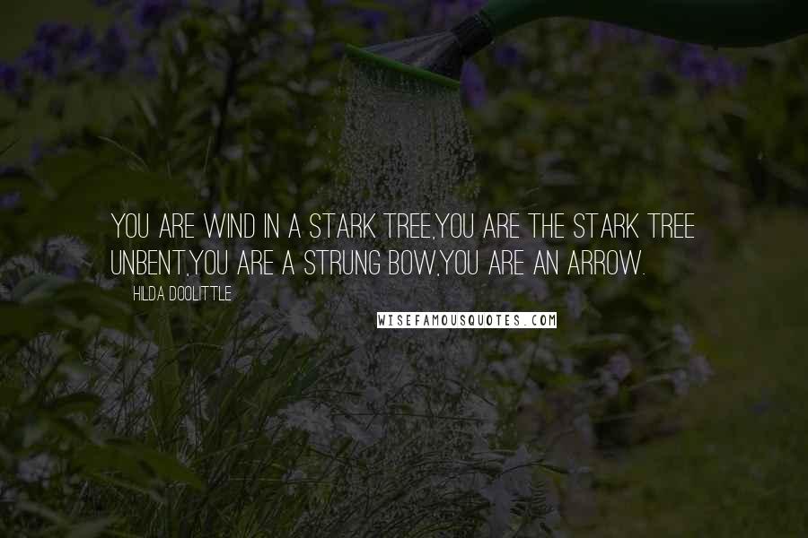 Hilda Doolittle quotes: You are wind in a stark tree,you are the stark tree unbent,you are a strung bow,you are an arrow.