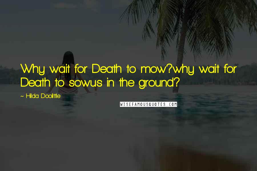 Hilda Doolittle quotes: Why wait for Death to mow?why wait for Death to sowus in the ground?