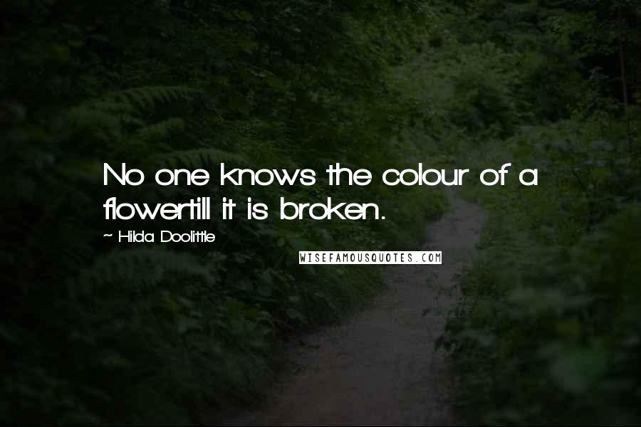 Hilda Doolittle quotes: No one knows the colour of a flowertill it is broken.