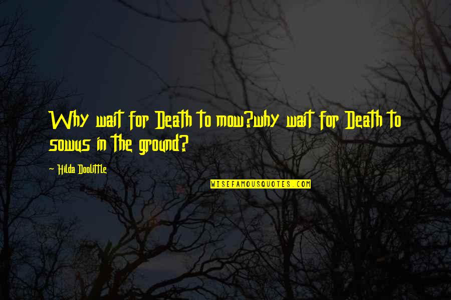 Hilda Quotes By Hilda Doolittle: Why wait for Death to mow?why wait for