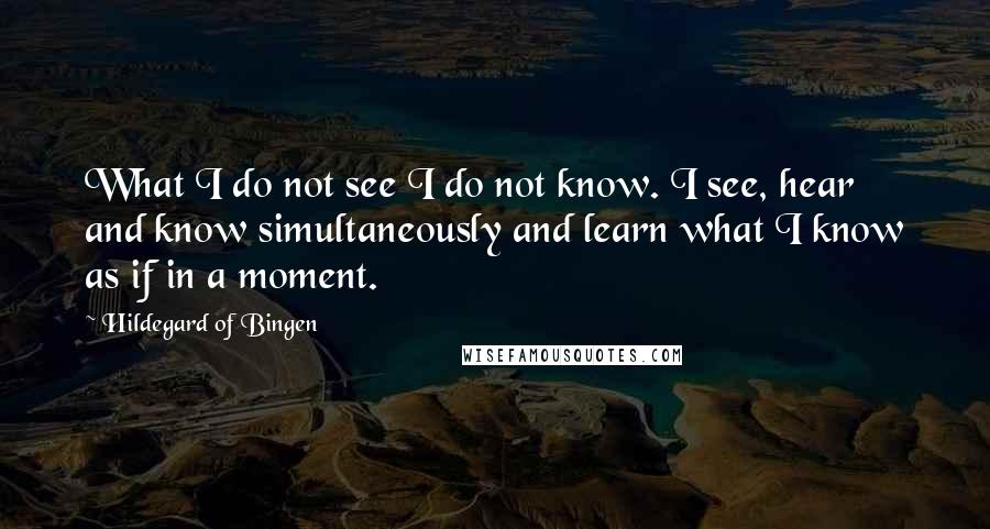 Hildegard Of Bingen quotes: What I do not see I do not know. I see, hear and know simultaneously and learn what I know as if in a moment.
