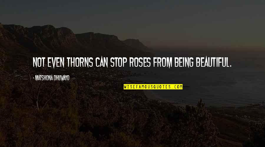 Hildegarde Neil Quotes By Matshona Dhliwayo: Not even thorns can stop roses from being Hildegarde Neil Quotes By Matshona Dhliwayo: Not even thorns can stop roses from being