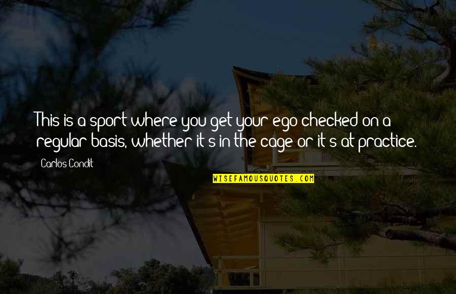Hildmannwilke Quotes By Carlos Condit: This is a sport where you get your