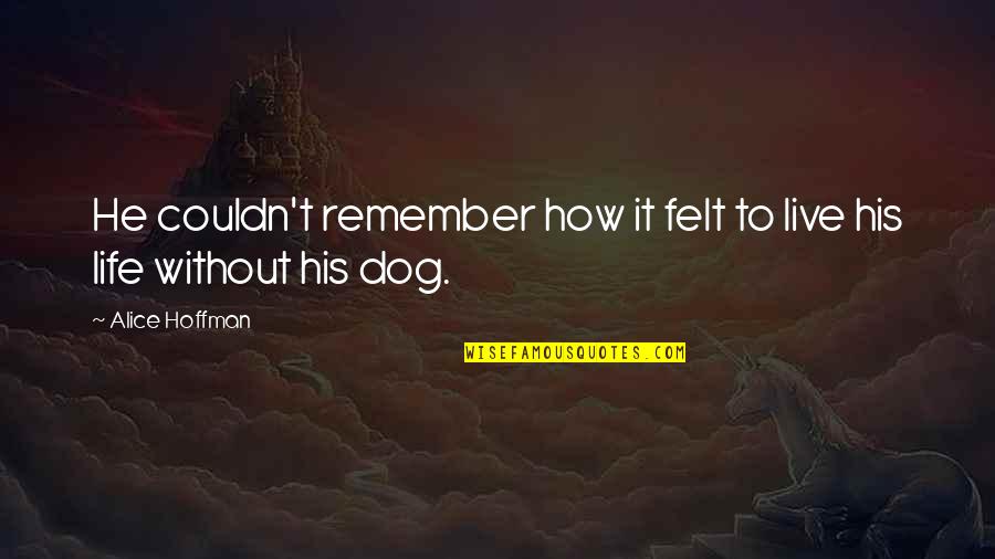 Hilferding Quotes By Alice Hoffman: He couldn't remember how it felt to live