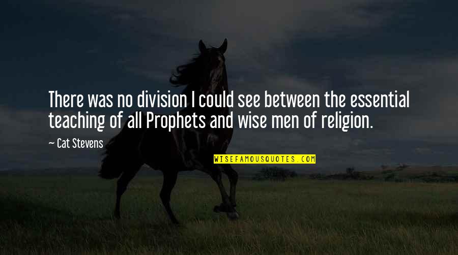 Hilkar Quotes By Cat Stevens: There was no division I could see between Hilkar Quotes By Cat Stevens: There was no division I could see between
