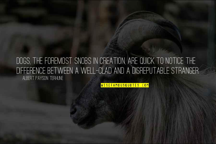 Hill Training Quotes By Albert Payson Terhune: Dogs, the foremost snobs in creation, are quick Hill Training Quotes By Albert Payson Terhune: Dogs, the foremost snobs in creation, are quick