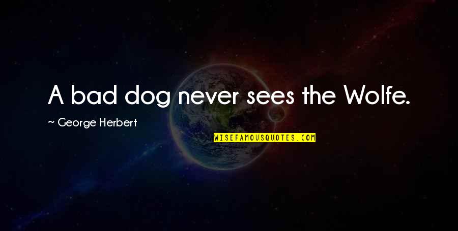 Hillary Clinton Benghazi Video Quotes By George Herbert: A bad dog never sees the Wolfe.