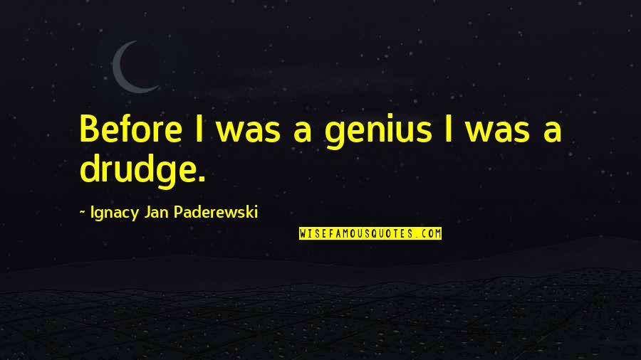 Hilld Quotes By Ignacy Jan Paderewski: Before I was a genius I was a Hilld Quotes By Ignacy Jan Paderewski: Before I was a genius I was a