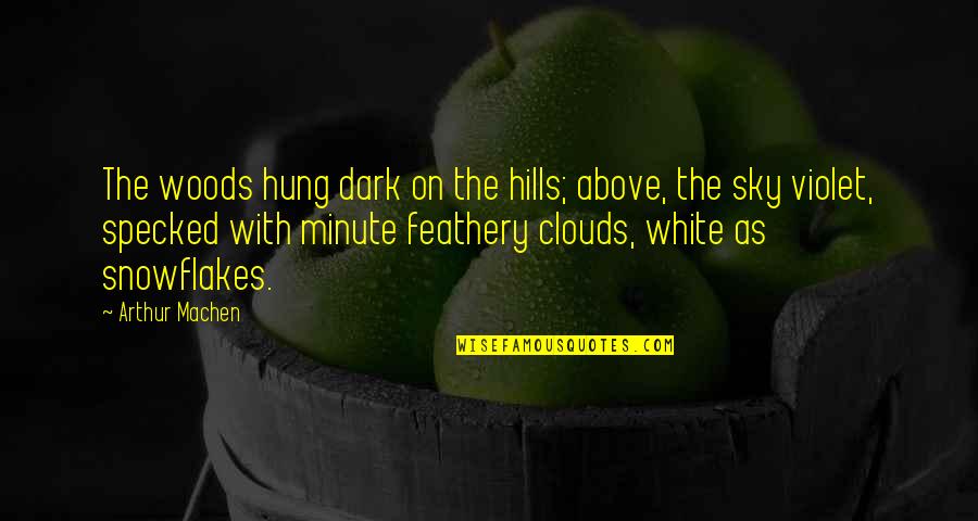 Hills And Clouds Quotes By Arthur Machen: The woods hung dark on the hills; above,