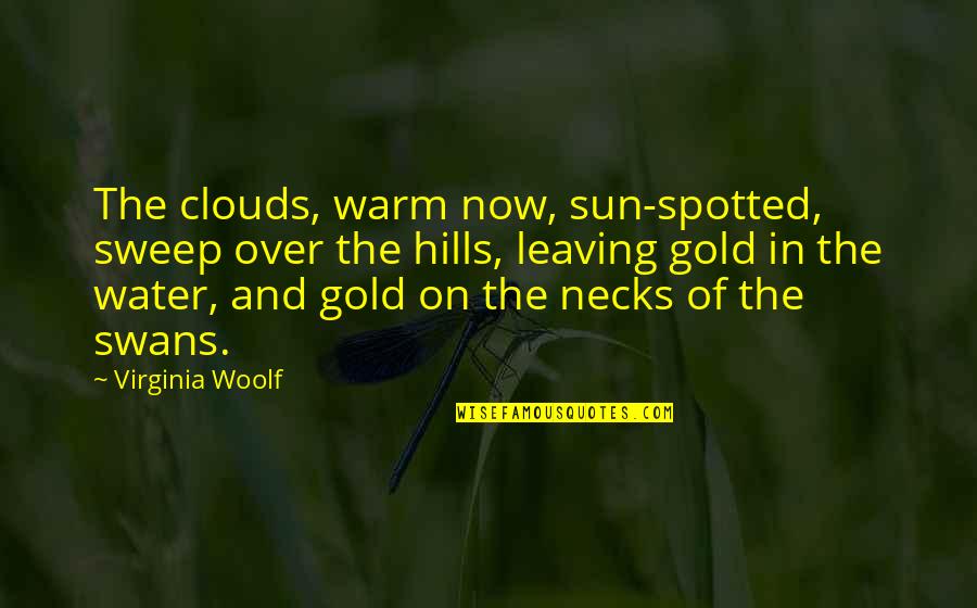 Hills And Clouds Quotes By Virginia Woolf: The clouds, warm now, sun-spotted, sweep over the