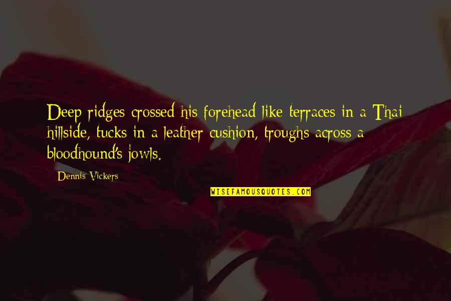 Hillside Quotes By Dennis Vickers: Deep ridges crossed his forehead like terraces in