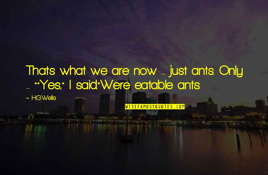 Hilman Traksporter Quotes By H.G.Wells: That's what we are now - just ants.