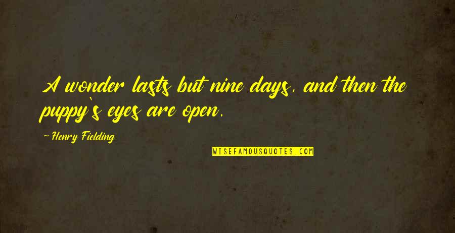 Hilts Garage Quotes By Henry Fielding: A wonder lasts but nine days, and then