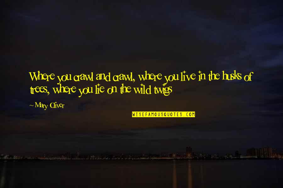 Hiltz Propane Quotes By Mary Oliver: Where you crawl and crawl, where you live Hiltz Propane Quotes By Mary Oliver: Where you crawl and crawl, where you live