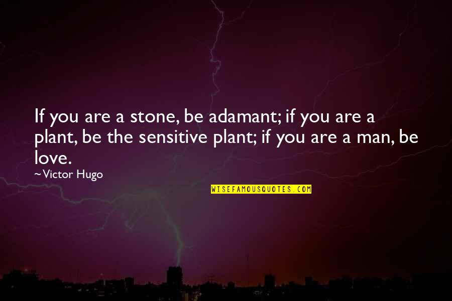 Him Being Your Happiness Quotes By Victor Hugo: If you are a stone, be adamant; if Him Being Your Happiness Quotes By Victor Hugo: If you are a stone, be adamant; if