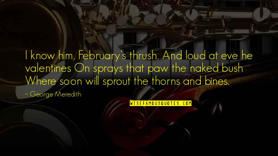 Him For Valentines Quotes By George Meredith: I know him, February's thrush, And loud at