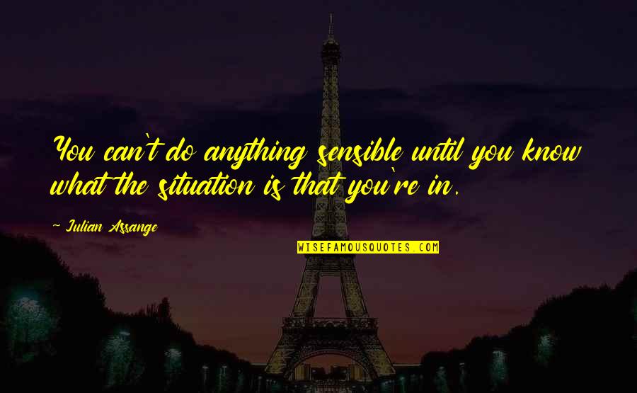 Him For Valentines Quotes By Julian Assange: You can't do anything sensible until you know Him For Valentines Quotes By Julian Assange: You can't do anything sensible until you know