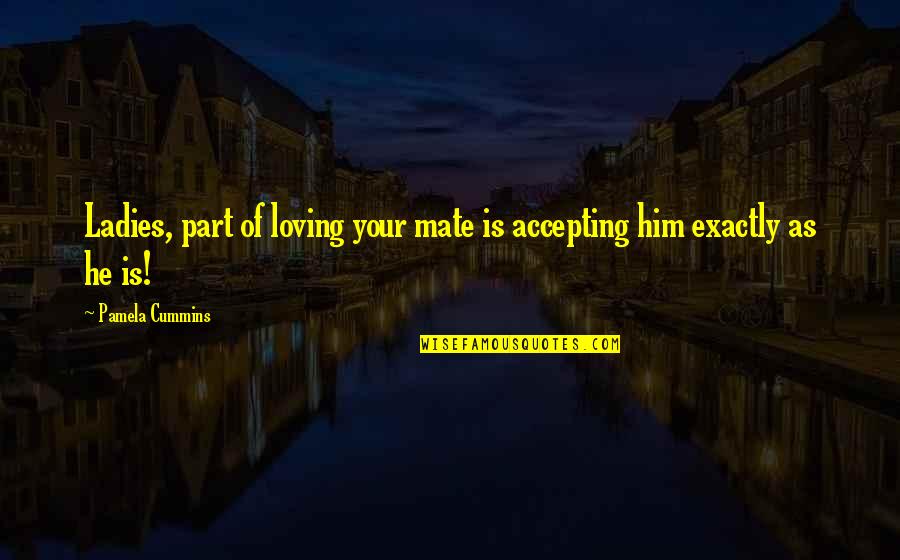 Him Loving You Quotes By Pamela Cummins: Ladies, part of loving your mate is accepting