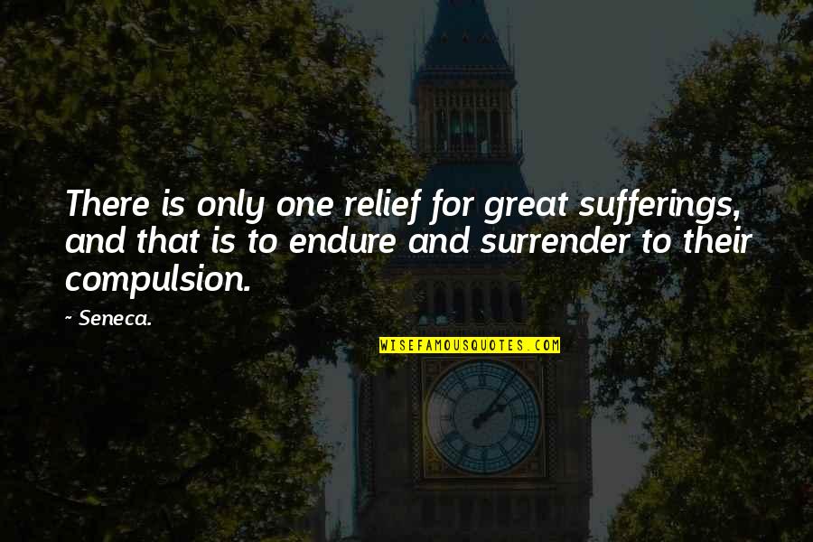 Him Making Me Sad Quotes By Seneca.: There is only one relief for great sufferings,