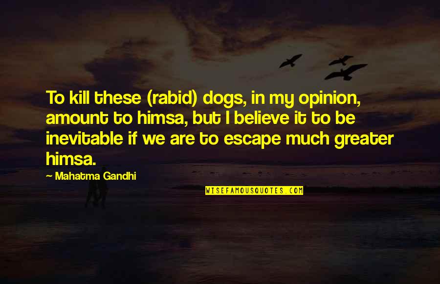 Himsa Quotes By Mahatma Gandhi: To kill these (rabid) dogs, in my opinion,