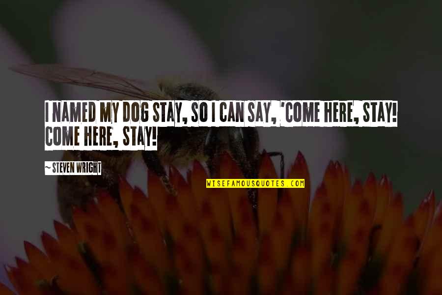 Himsagar Quotes By Steven Wright: I named my dog Stay, so I can