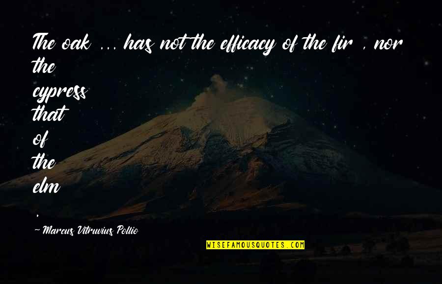 Himym The Fortress Quotes By Marcus Vitruvius Pollio: The oak ... has not the efficacy of Himym The Fortress Quotes By Marcus Vitruvius Pollio: The oak ... has not the efficacy of