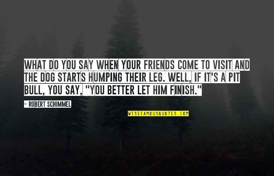 Hinaharap Quotes By Robert Schimmel: What do you say when your friends come