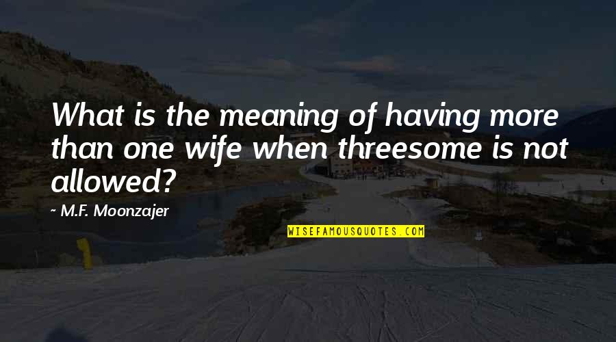 Hinchliffe Quotes By M.F. Moonzajer: What is the meaning of having more than