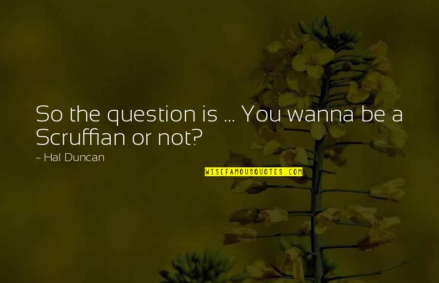 Hindoostan Quotes By Hal Duncan: So the question is ... You wanna be
