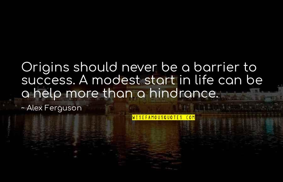 Hindrance To Success Quotes By Alex Ferguson: Origins should never be a barrier to success.
