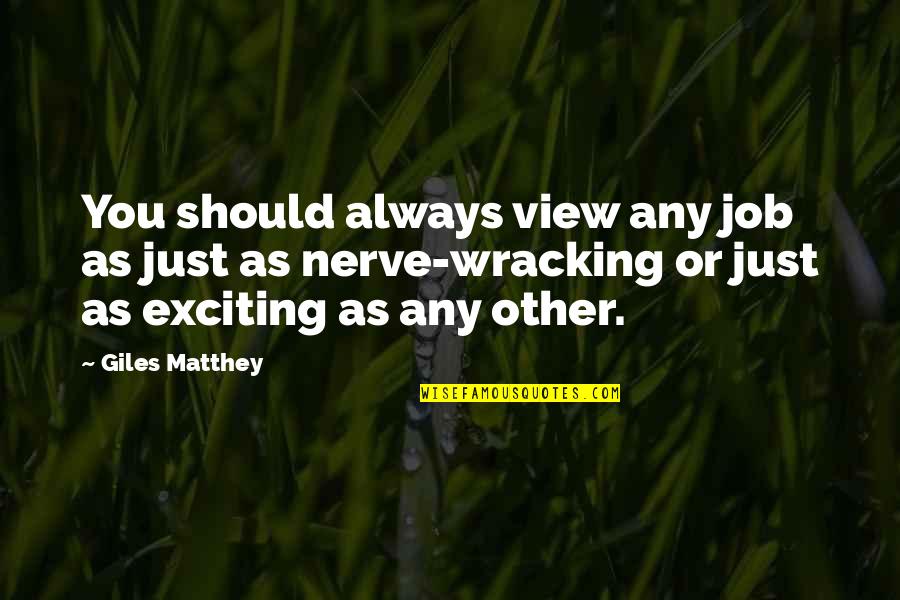 Hindrances In Love Quotes By Giles Matthey: You should always view any job as just