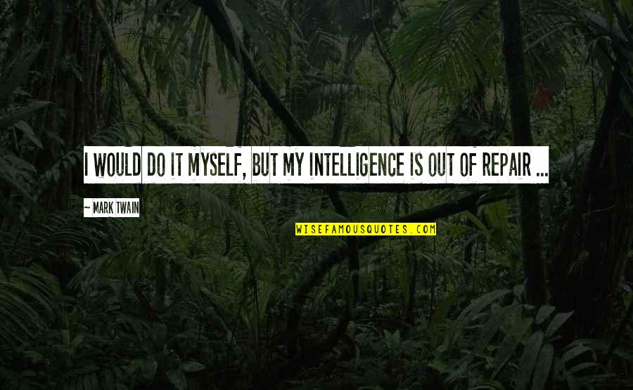 Hindsight Is Always 20 20 Quotes By Mark Twain: I would do it myself, but my intelligence