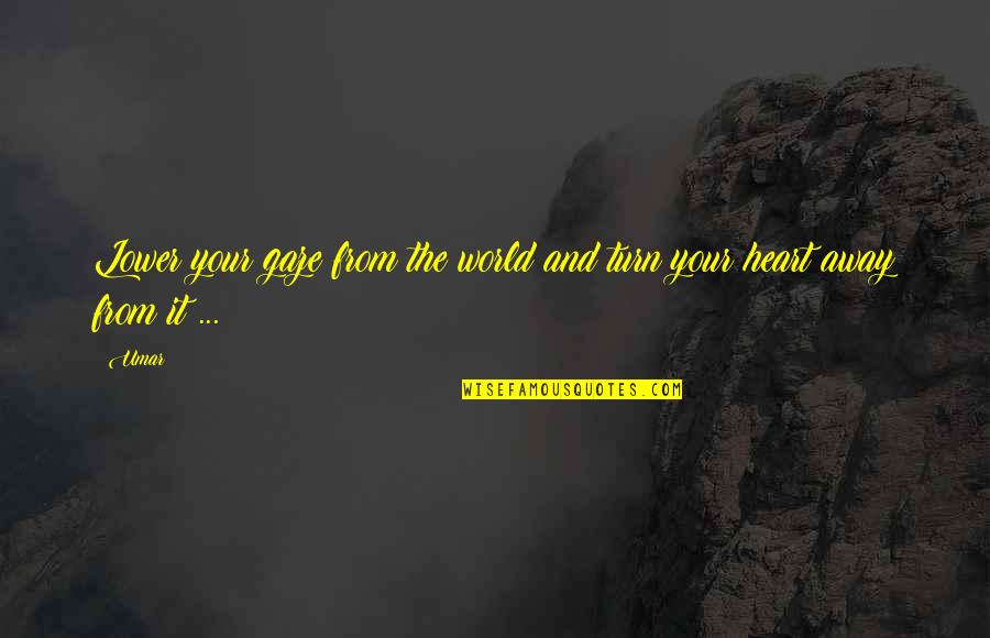 Hindu Maratha Quotes By Umar: Lower your gaze from the world and turn
