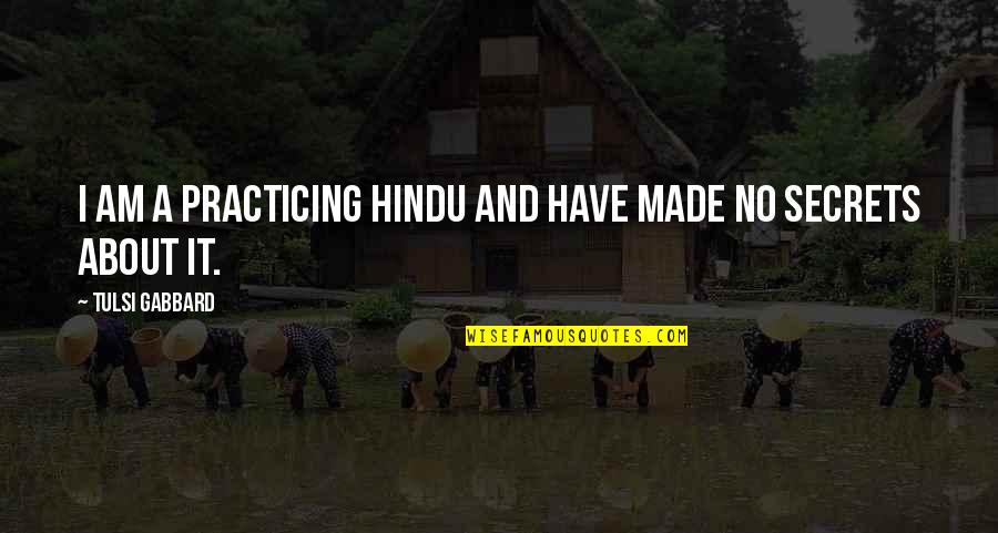 Hindu Quotes By Tulsi Gabbard: I am a practicing Hindu and have made