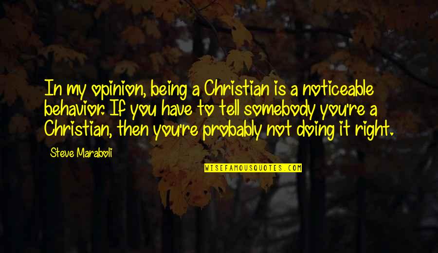 Hinduismus Znak Quotes By Steve Maraboli: In my opinion, being a Christian is a
