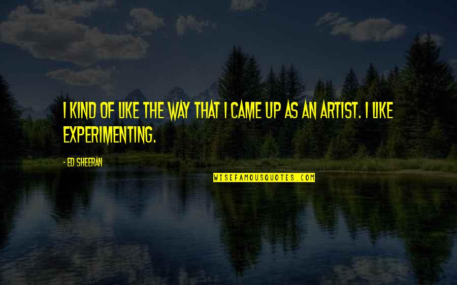 Hinsperger Safety Quotes By Ed Sheeran: I kind of like the way that I