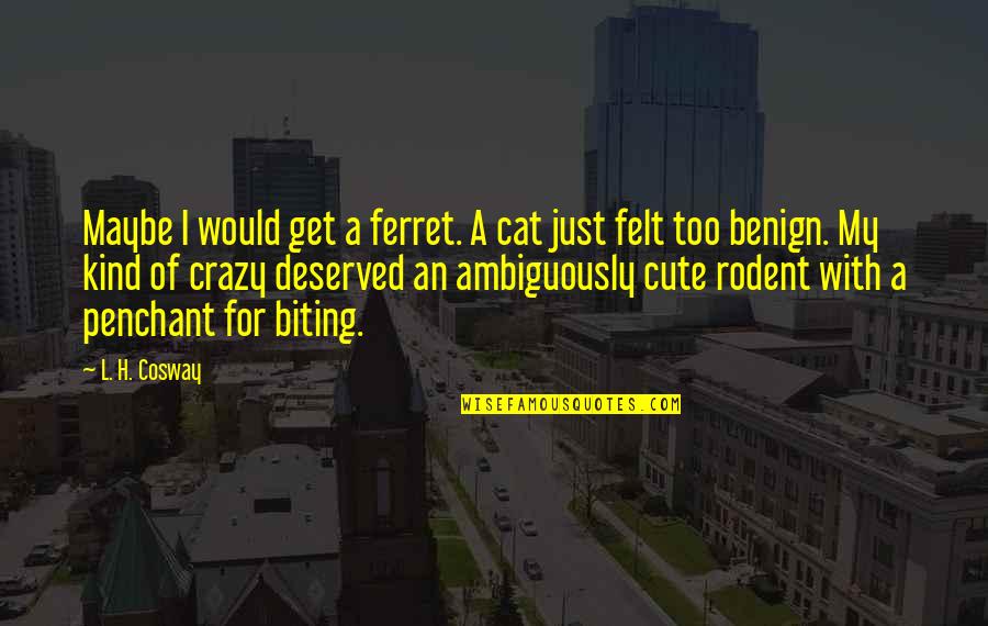 Hintergrund Quotes By L. H. Cosway: Maybe I would get a ferret. A cat Hintergrund Quotes By L. H. Cosway: Maybe I would get a ferret. A cat